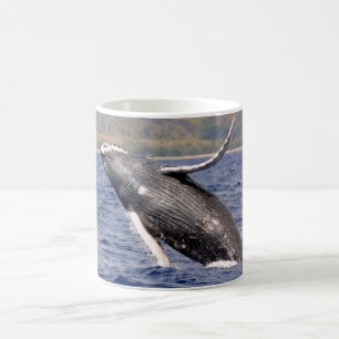 Buckel-Wal-Spritzen Tasse