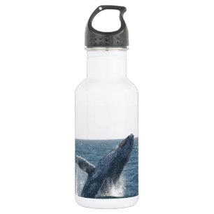 Buckel-Wal Trinkflasche