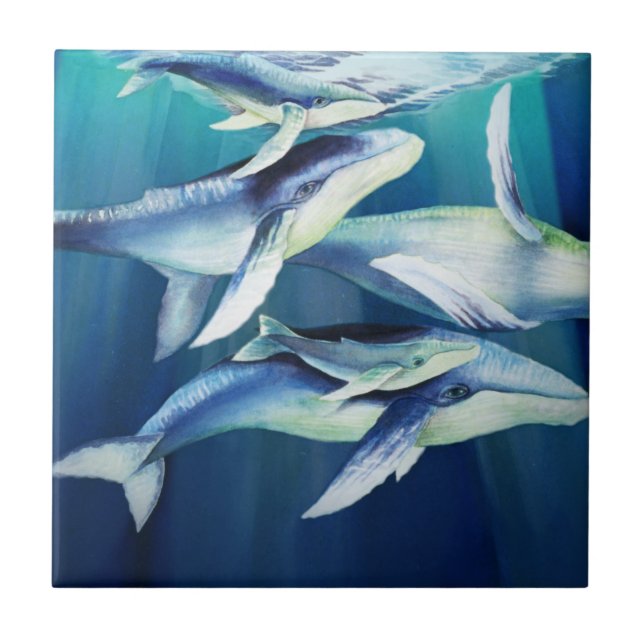 Buckel-Wale Fliese (Vorderseite)