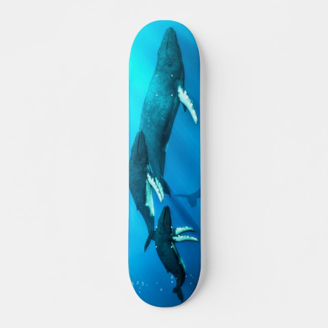 Buckel-Wale Skateboard (Vorne)