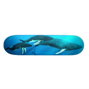 Buckel-Wale Skateboard