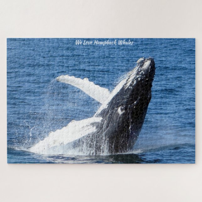 Buckelwal Alaskar Puzzle (Horizontal)