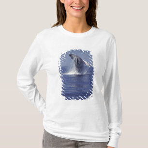 Buckelwal bricht durch (Megaptera T-Shirt