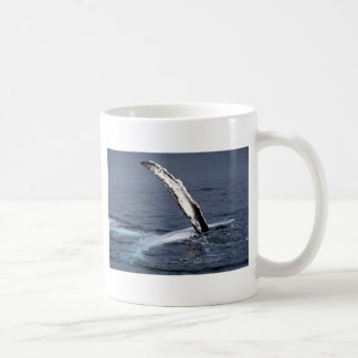 Buckelwal Kaffeetasse