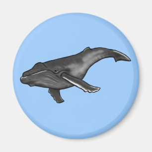 Buckelwal Magnet
