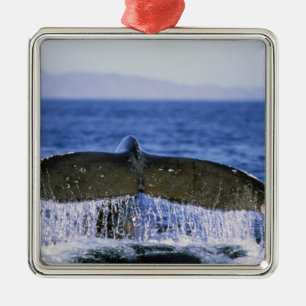 Buckelwal-Schwanz. Ornament Aus Metall