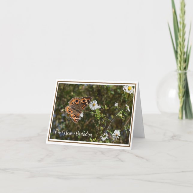 Buckeye Butterfly Geburtstagskarte Karte (Vorderseite)