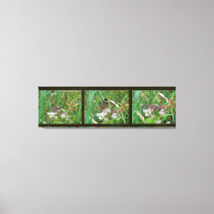 Buckeye Butterfly Triptych Leinwanddruck