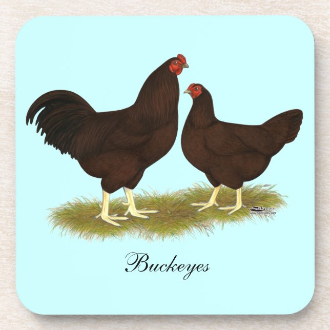 Buckeye Chickens Getränkeuntersetzer (Vorderseite)