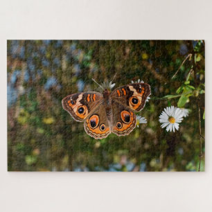 Buckeye-Schmetterling Puzzle