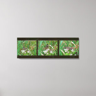 Buckeye-Schmetterling-Triptychon Leinwanddruck