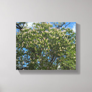 Buckeye Sky Leinwanddruck