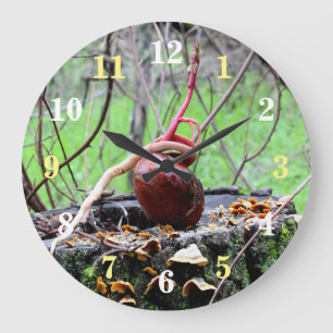 Buckeye Tree Sprout Round Wall Clock Große Wanduhr