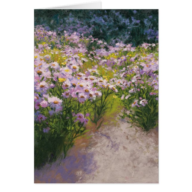 Buckhorn Aster-Show (Vorne)