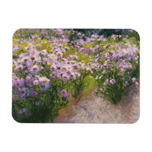 Buckhorn Aster Show Magnet