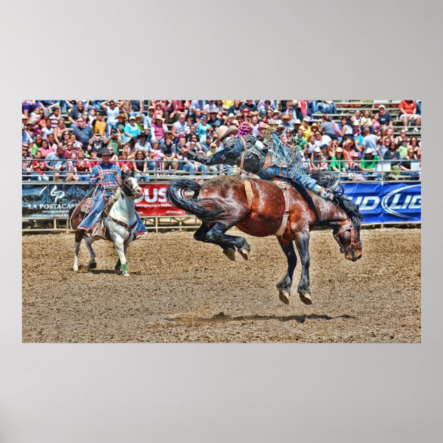 Bucking Bronco Poster (Vorne)