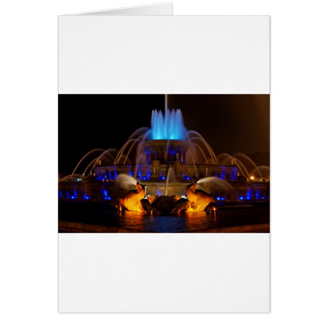 Buckingham Fountain - Blues (Vorne)