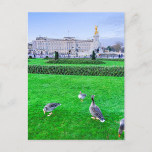 Buckingham Palace, London UK Postcard Postkarte