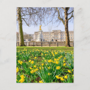 Buckingham Palace, London UK Postcard Postkarte