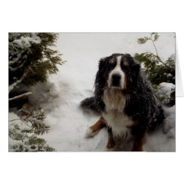 Buckminster-Liebe Schnee