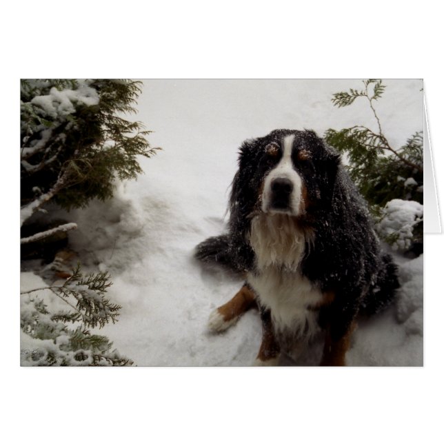 Buckminster-Liebe Schnee (Vorderseite (Horizontal))