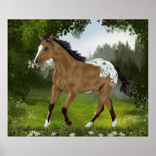 Buckskin Appaloosa Pferd Poster