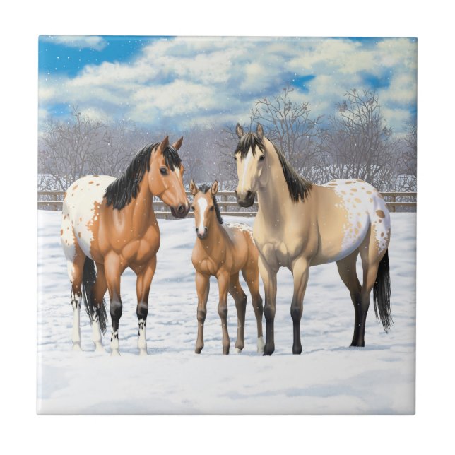 Buckskin Appaloosa Pferde im Schnee Fliese (Vorderseite)