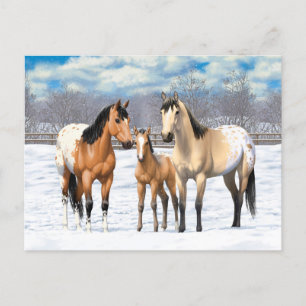 Buckskin Appaloosa Pferdefamilie im Schnee Postkarte