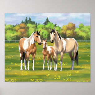 Buckskin Dun Pinto Paint Horses In Summer Pasta Poster