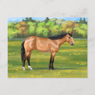 Buckskin Dun Quarter Horse Postkarte