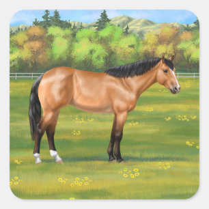 Buckskin Dun Quarter Horse Quadratischer Aufkleber