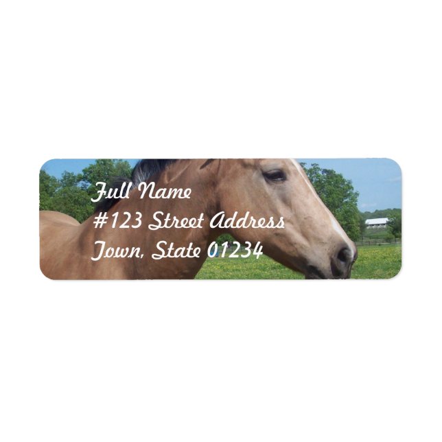 Buckskin Mustang Mailing Label (Vorne)