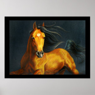 Buckskin Pferd Poster