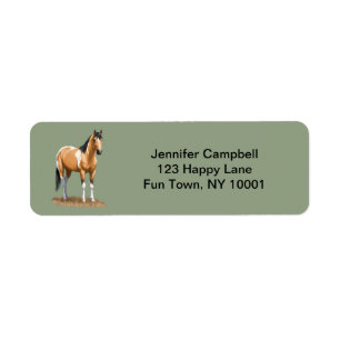 Buckskin Pinto Dun Paint Horse Staillion