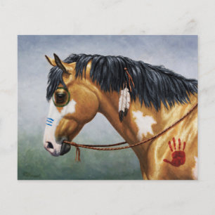 Buckskin Pinto Indianerpferd