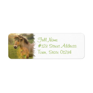 Buckskin Pony-Rücksendeadresse