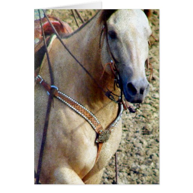 Buckskin Rodeo Horse (Vorne)