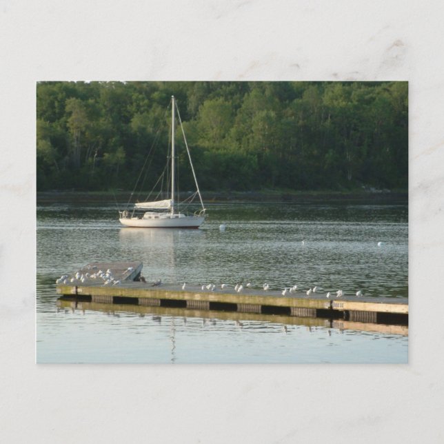Bucksport Maine Postkarte (Vorderseite)