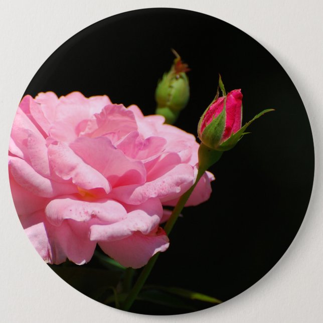 Bud einer Rose Button (Vorderseite)