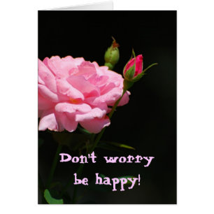 Bud of a Rose, mach dir keine Sorgen, sei glücklic