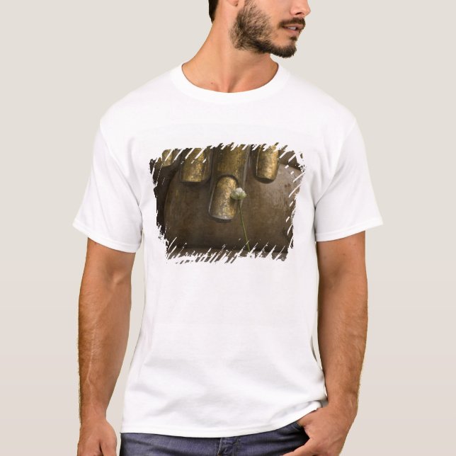 Buddha bei Wat Si Chum. T-Shirt (Vorderseite)