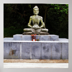 Buddha Fasting Siddhartha Poster