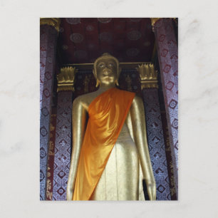 Buddha-Goldsauger Postkarte