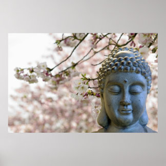 Buddha Head gegen Sakura Cheroms Poster