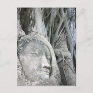 Buddha Head Postcard Postkarte