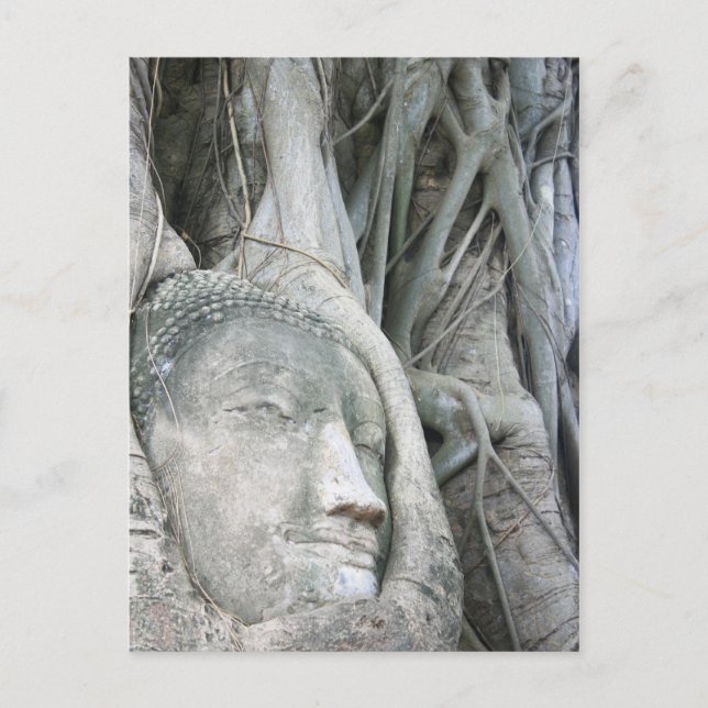 Buddha Head Postcard Postkarte (Vorderseite)