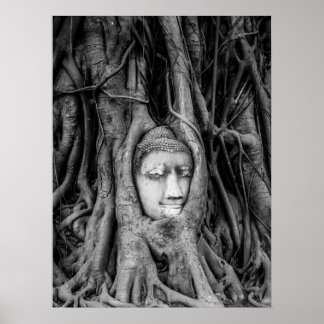Buddha Head Poster Thailand Schwarz/Weiß
