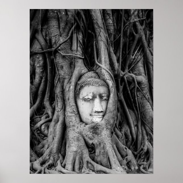 Buddha Head Poster Thailand Schwarz/Weiß (Vorne)