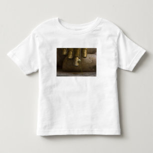 Buddha in Wat Si Chum. Kleinkind T-shirt