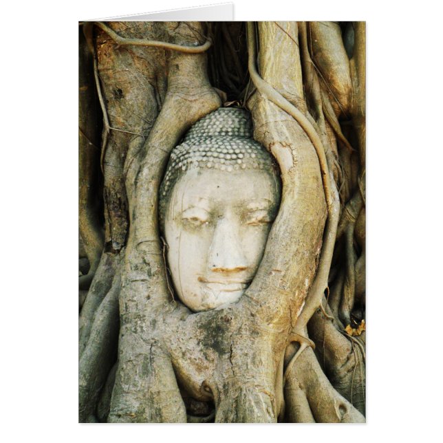Buddha-Kopf im Feigenbaum. Ayutthaya, Thailand (Vorne)